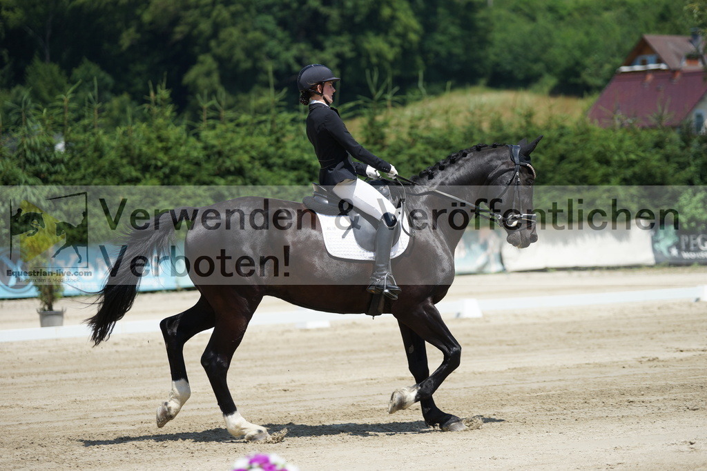 DSC04832 | equestrian-live-com