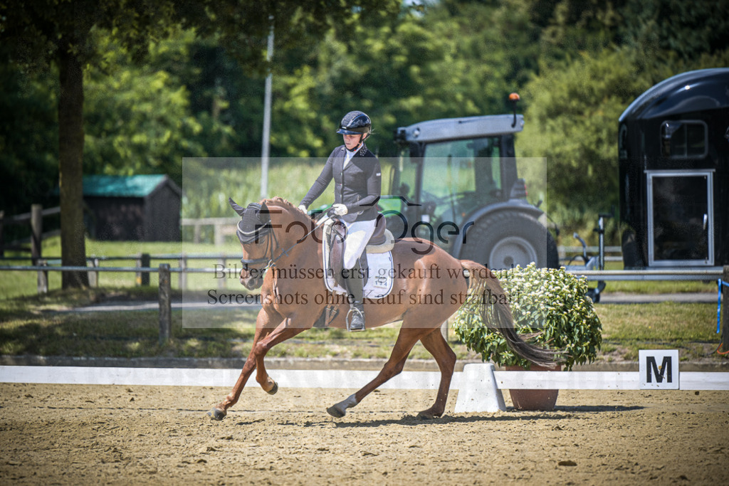 DOS_5439 | Entdecke hochwertige Reitturnierfotos von Foto Oger. Professionell, emotional und authentisch – jetzt Lieblingsmomente im Shop bestellen.Deutschlandweite Turnierfotografie. - Realisiert mit Pictrs.com