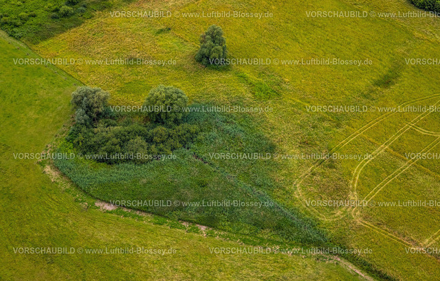 Hamm240710439 | Luftbild, Baumgruppe und Wiesenfläche in den Lippeauen in Herzform, Stadtbezirk Heessen, Hamm, Ruhrgebiet, Nordrhein-Westfalen, Deutschland
