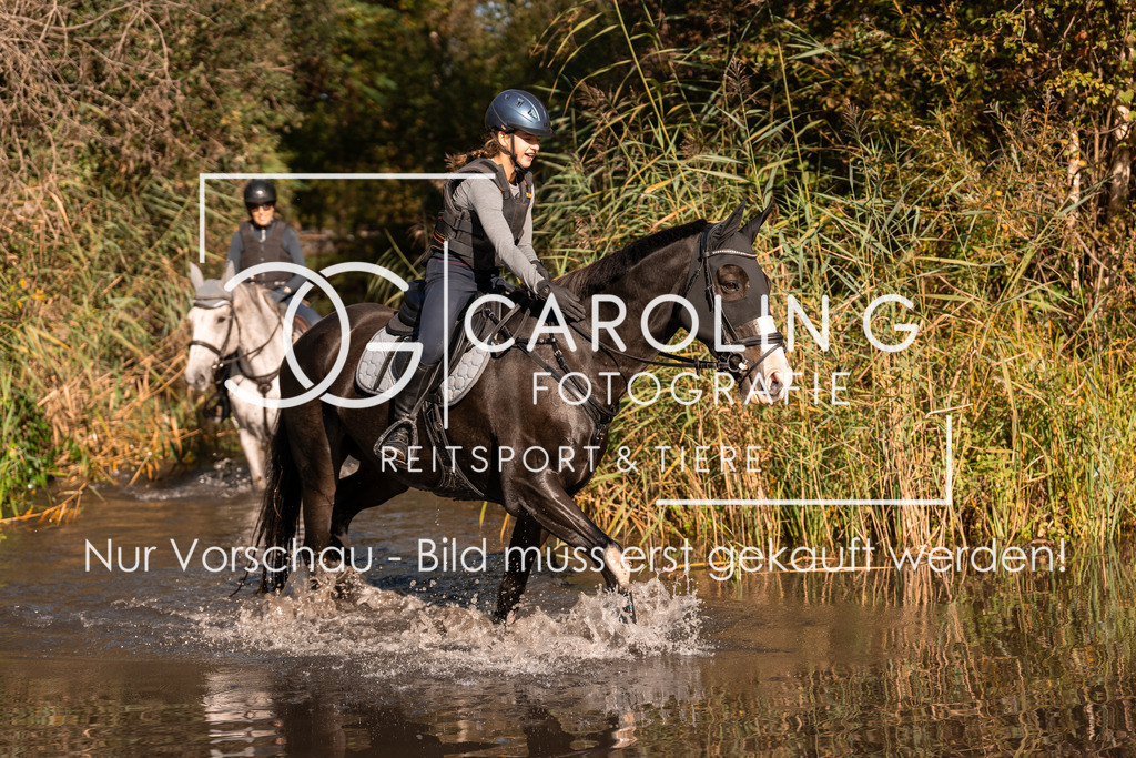 DSC07529 | Turnierfotografin Carolin Gieschke, Turnierfotografie Carolin G Fotografie, Turnierfotos Kirchheim/Teck, Esslingen, Stuttgart, Bodenseekreis