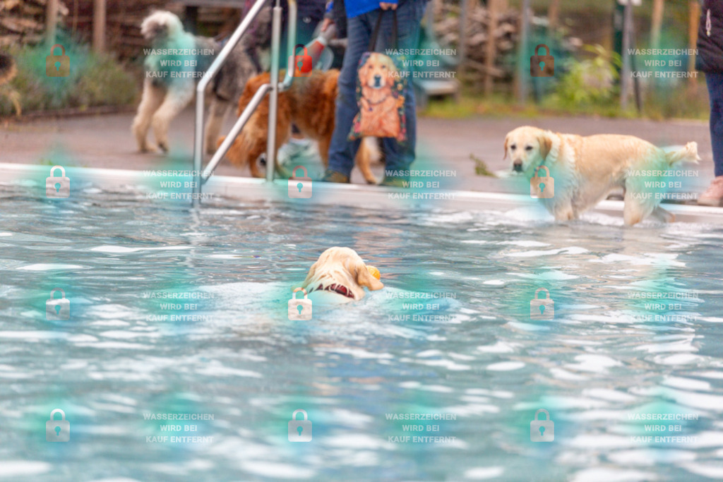 _HP_7127_1000o | HetPix, HetPix Fotodesign, Fotografie, Fotodesign, Webshop, Sportfotografie, Portraitfotografie, Onlineshop, Sportfotografie, Polch, Motorsportfotografie, Eventfotografie