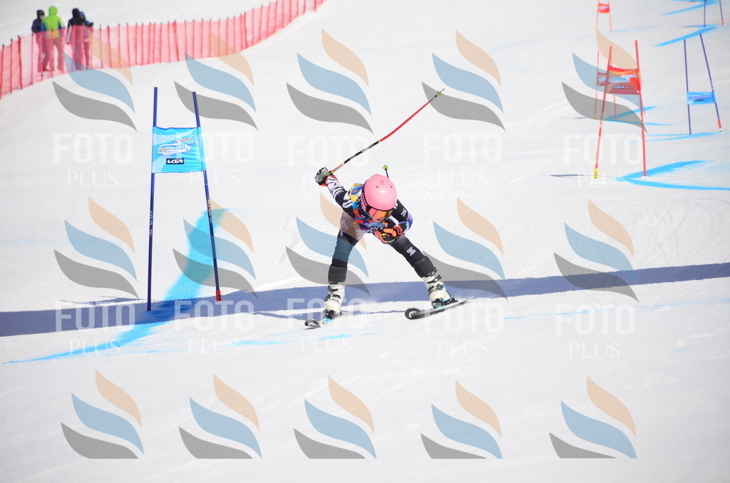 VR4_9727 | holidayphoto