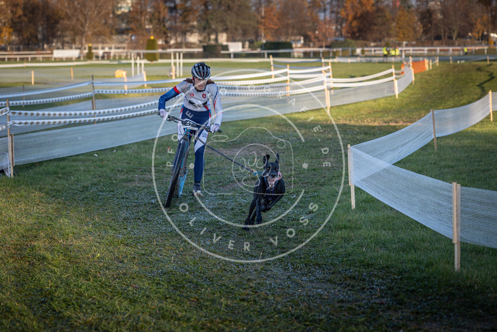 CaniXpix_0L8A2488 | Hundefotografie, Tierfotograf, Pfotenfotografie, Fotoshooting Hund, Hunde Portrait, Hundesport, Hundeportraits, Heideshooting, Hunde, Sportfotograf, Hundefotograf, Turnierhundsport, THS,  - Realisiert mit Pictrs.com