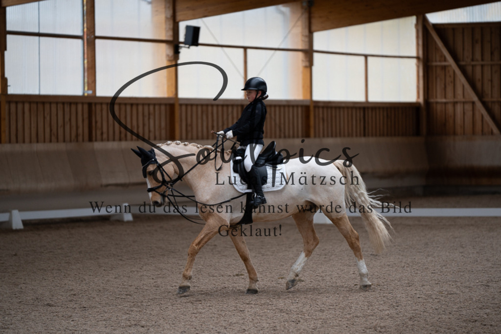 A7V02771 | Pferdefotograf