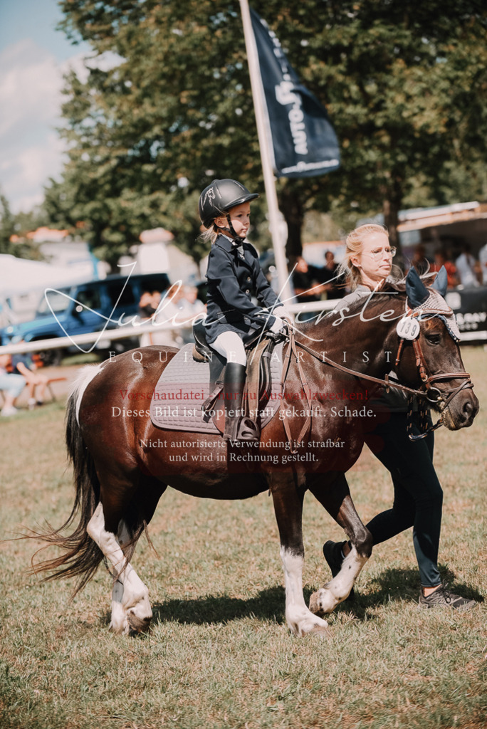 DSC_6180 | Pferde- und Turnierfotografie in Westsachsen. Pferdeportraits, Auftragszeichnungen und intuitive Kunst.
