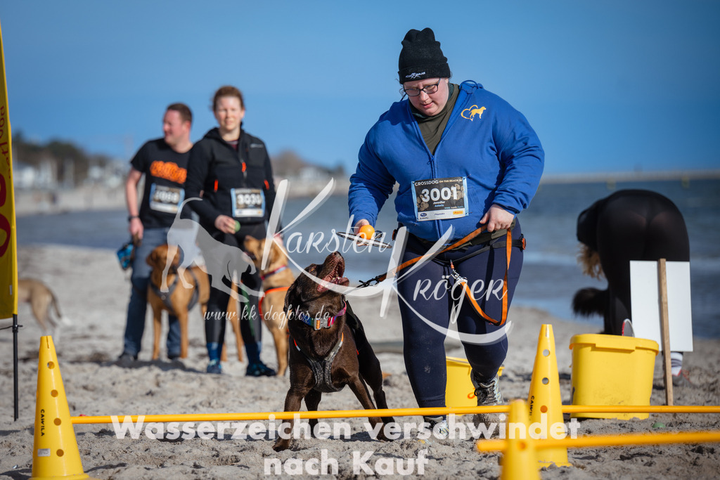 1332_ZZ91844 | kk-dogfotos