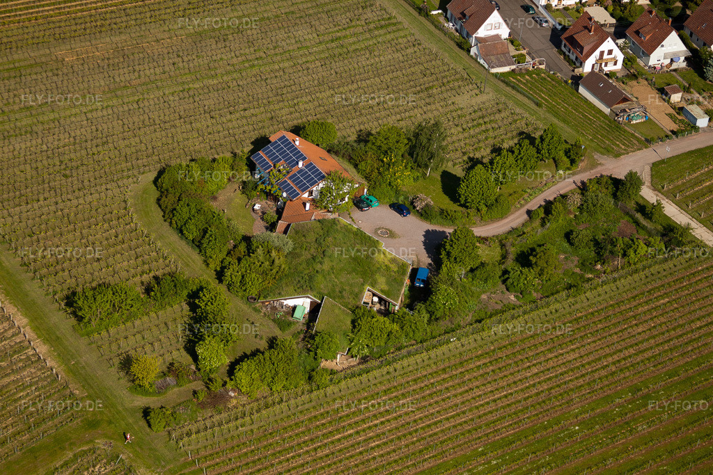 Luftbild: BiolandWeinbau Unterm Grassdach Weingut Marzolph im Ortsteil Wollmesheim in Landau im Bundesland Rheinland-Pfalz in Deutschland. Foto: IMG_27267.jpg vom 23.05.2010 durch Werner Riehm/FLY-FOTO.de