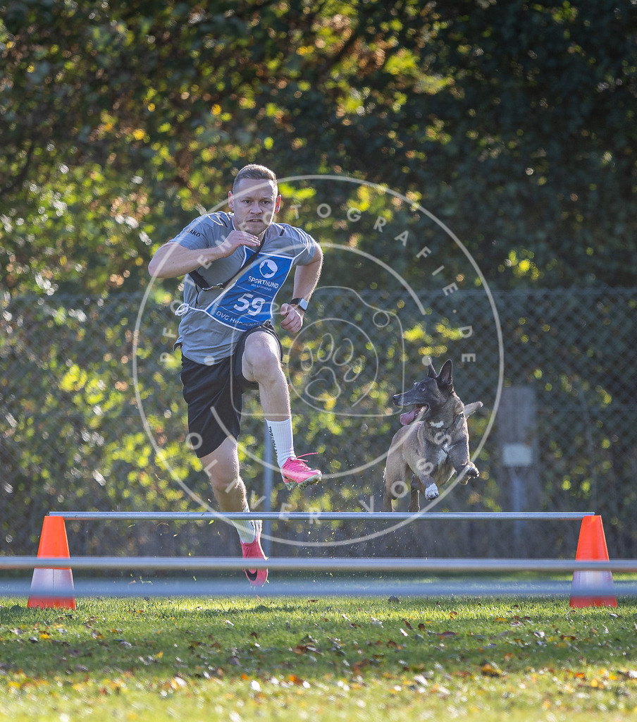 Pfotenfotografie.de_DV3A3200 | Hundefotografie, Tierfotograf, Pfotenfotografie, Fotoshooting Hund, Hunde Portrait, Hundesport, Hundeportraits, Heideshooting, Hunde, Sportfotograf, Hundefotograf, Turnierhundsport, THS, canicross - Realisiert mit Pictrs.com