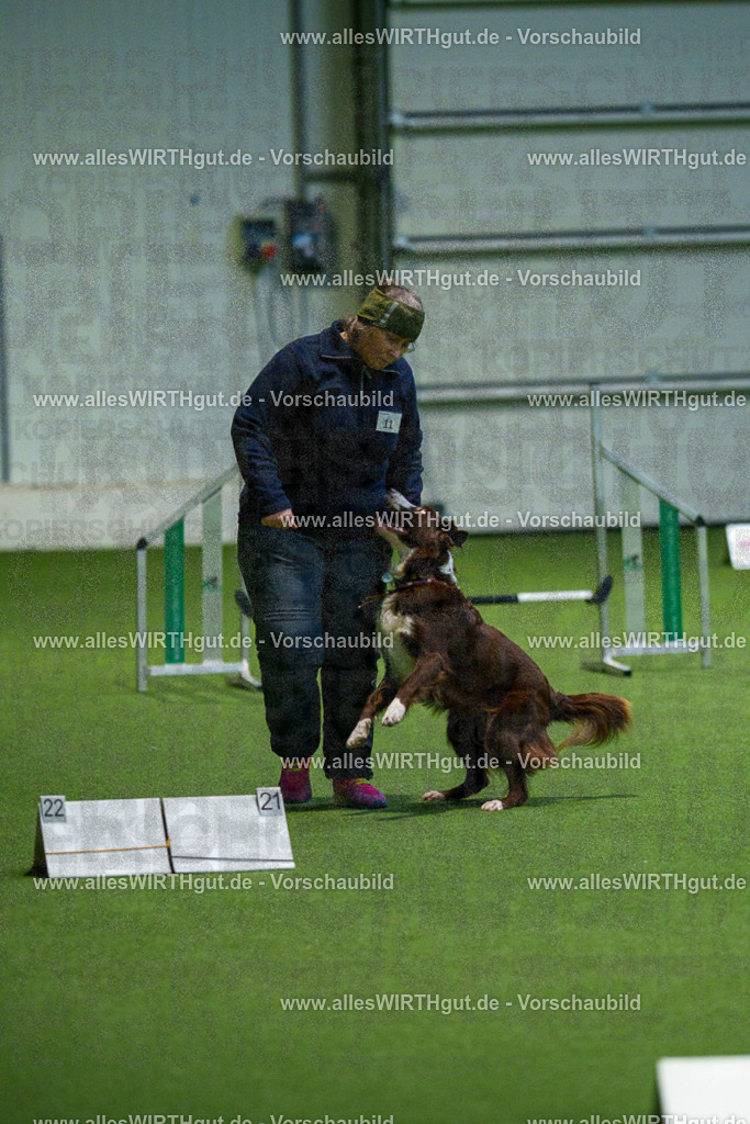 7R505013 | Professionelle Tierfotografie in Mönchengladbach von Daniel Wirth (allesWIRTHgut). Liebevolle & natürliche Bilder von Hunden & Katzen für unvergessliche Erinnerungen.