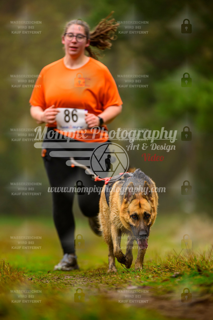 MompixPhotography_Bischwiller2025_Canicross-184 | mompixphotography