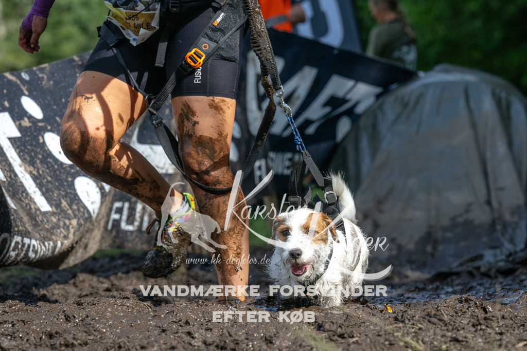 1605_ZZ92453 | kk-dogfotos