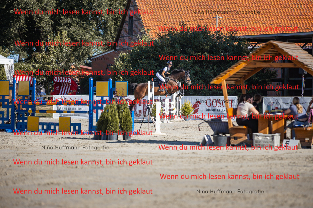 BK1A7432 | Turnierbilder Turnierfotos Nina Hüffmann Turnierfotografie Pferdefotografie Tierzeichnung Haustierzeichnung Pferdezeichnung Hundezeichnung Videograf  - Realisiert mit Pictrs.com