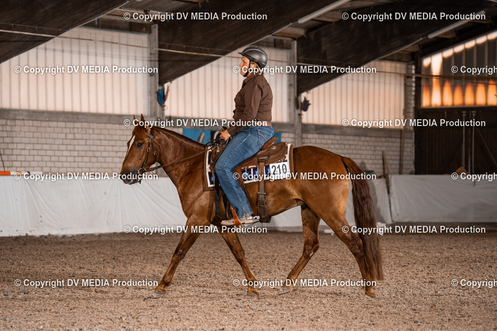 ZH100052 | dv-media-shop - Realisiert mit Pictrs.com