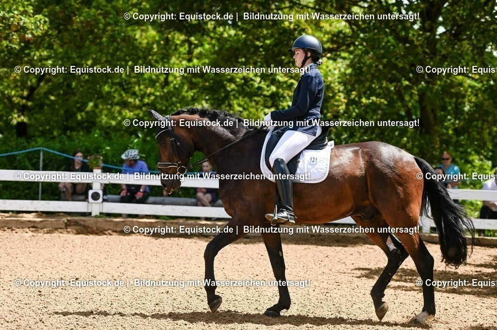 20230716_03_Dressurprfg. Kl.L - Tr._0006 | equistock