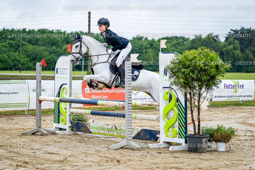 DSC01699 | Pferdegrafie