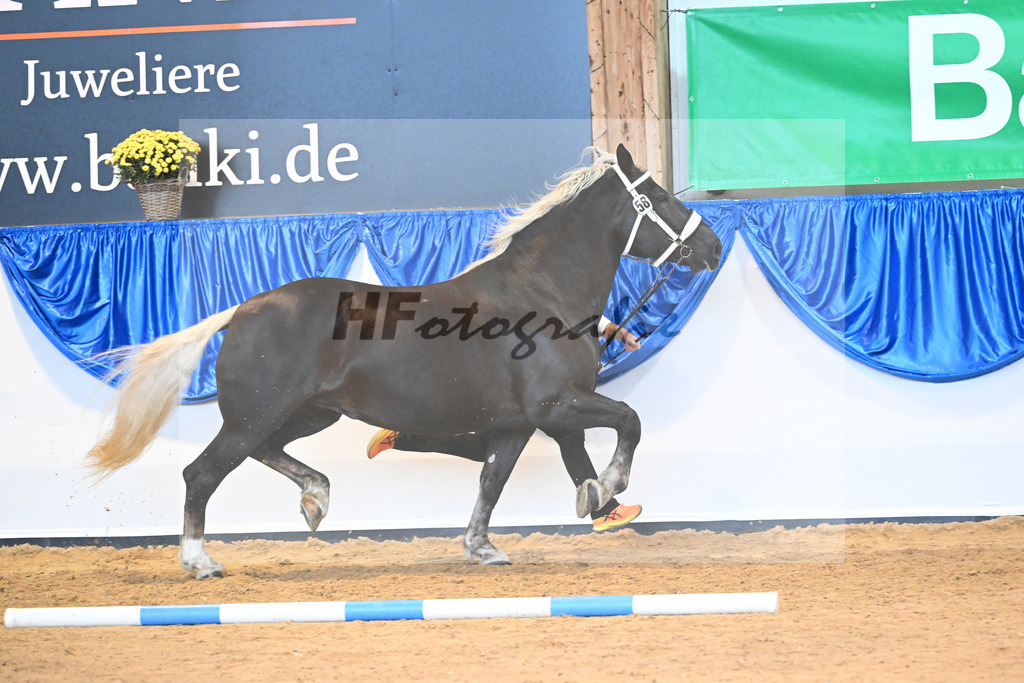 Kat-Nr. 58 Vrieda_Ebert_53220156 | hf-fotografie - Realisiert mit Pictrs.com