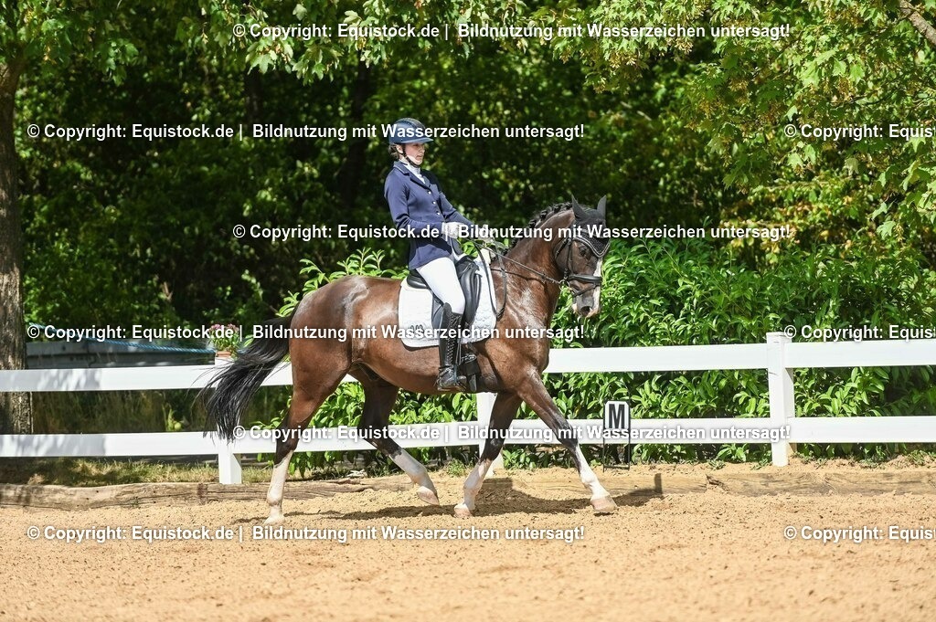 20230715_02_Dressurreiterprüfung Kl.L_0284 | equistock