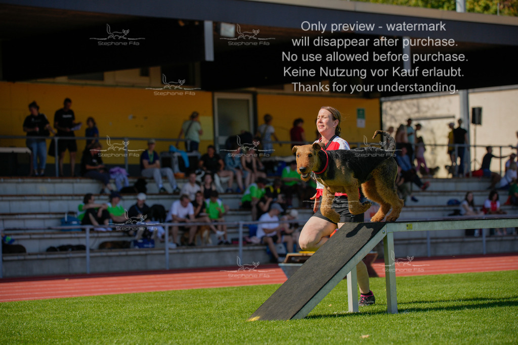 Sonntag_VK Hindernis (644 von 671) | stephaniefillaphotographie - Realisiert mit Pictrs.com