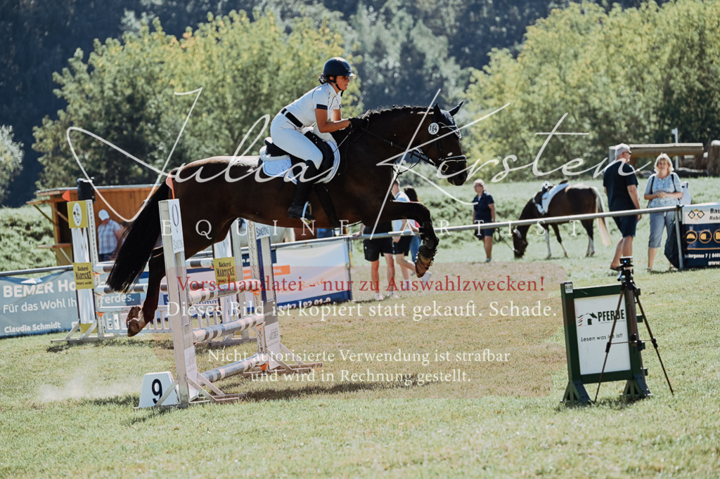 DSC_5977 | Pferde- und Turnierfotografie in Westsachsen. Pferdeportraits, Auftragszeichnungen und intuitive Kunst.