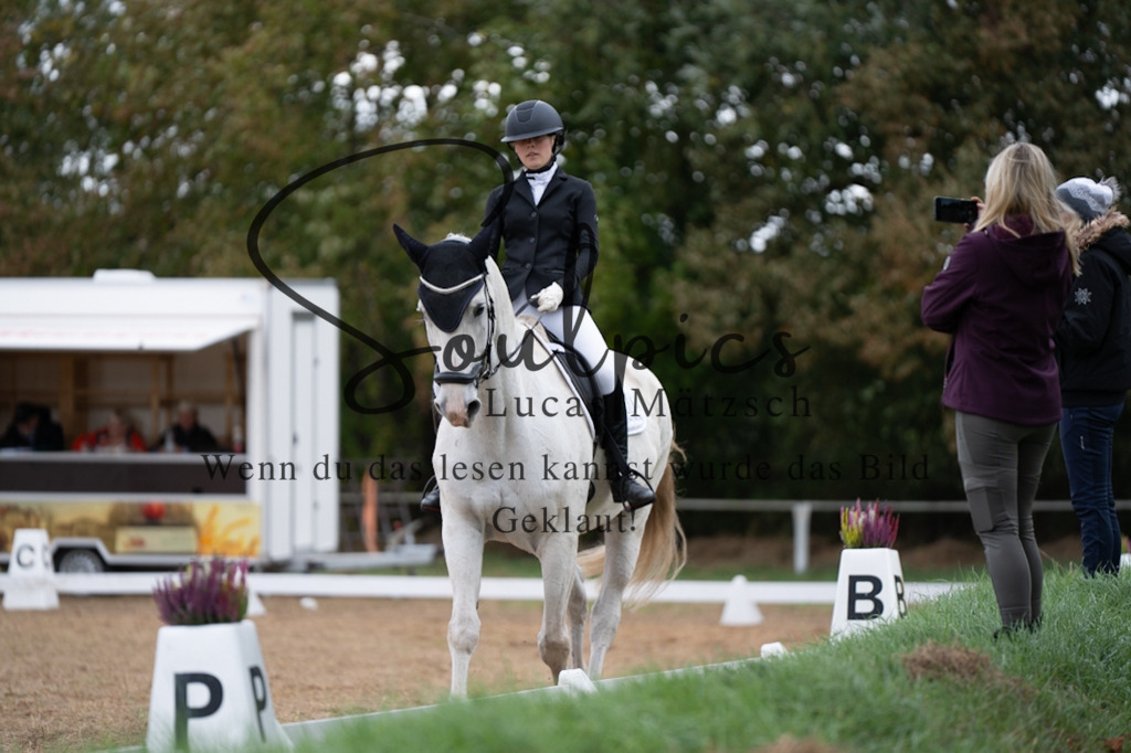 A7V05297 | Pferdefotograf