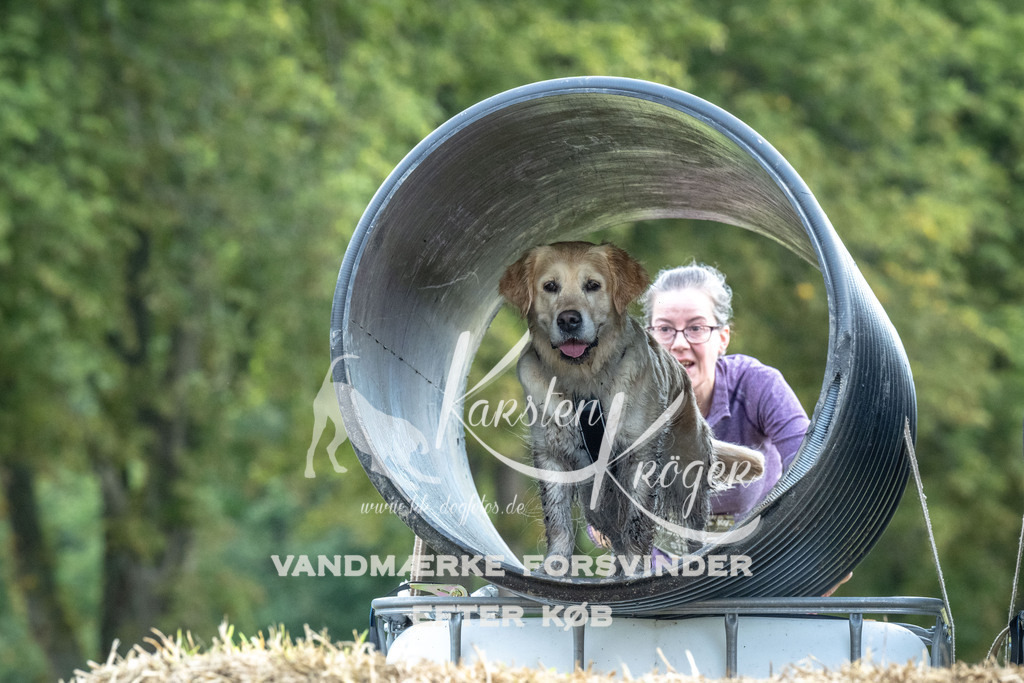 1035_ZZ92513 | kk-dogfotos
