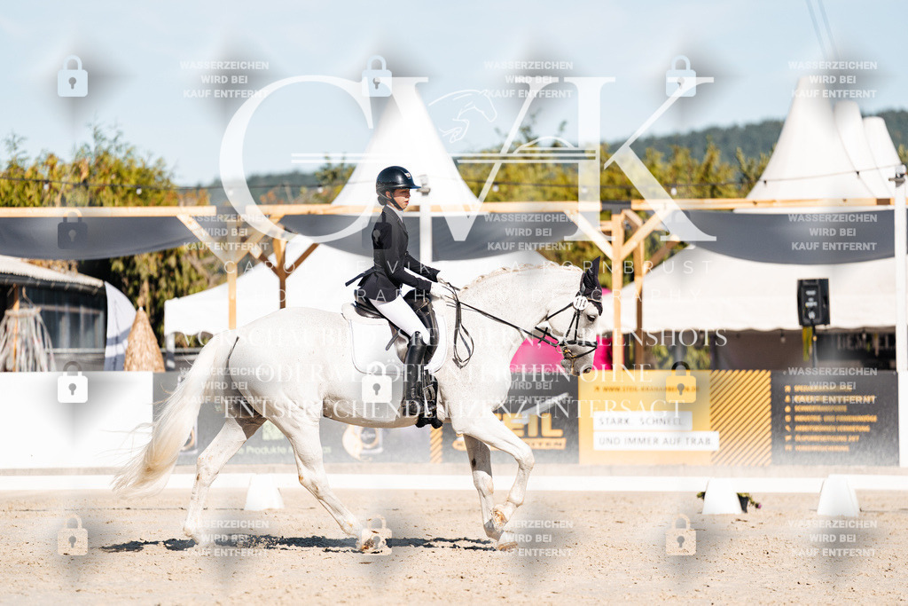 CK907591 | Turnierfotografie Pferdefotografie Trier Rheinland-Pfalz Pferdesport Reitsport Tierfotografie Sportfotografie Pferdevideo Pferdevideografie Equestrianvideography equestrianphotography  - Realisiert mit Pictrs.com