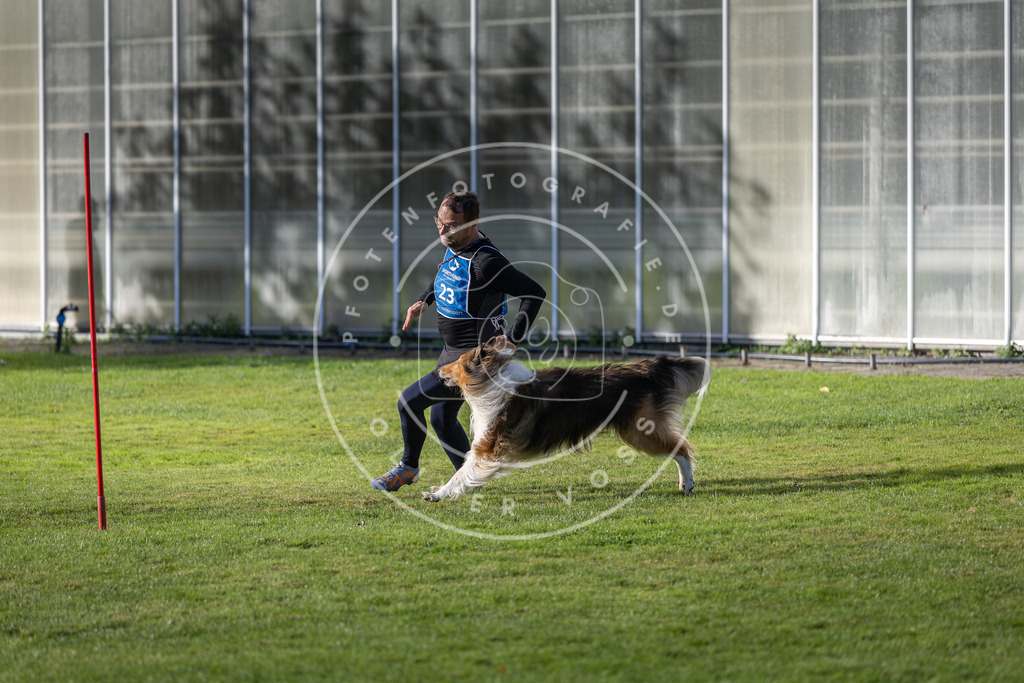 Pfotenfotografie.de_DV3A3250 | Hundefotografie, Tierfotograf, Pfotenfotografie, Fotoshooting Hund, Hunde Portrait, Hundesport, Hundeportraits, Heideshooting, Hunde, Sportfotograf, Hundefotograf, Turnierhundsport, THS, canicross - Realisiert mit Pictrs.com
