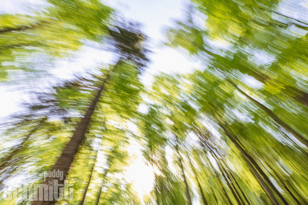 PS-Blur-2026-10 | Entdecke die größte Bildgalerie der Region mit Fotografien aus dem Allgäu, der Bodenseeregion, Oberschwaben, dem Donautal und der Schwäbischen Alb. Landschaften, Luftaufnahmen und Reisefotografie als Wandbild und Fotokunst. - Realisiert mit Pictrs.com