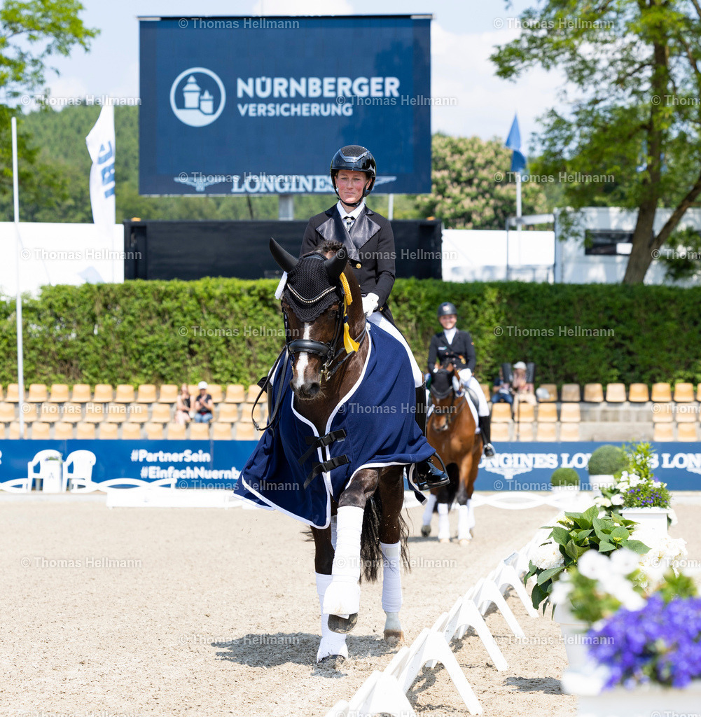 TH_302-LANGEHANENBERG Helen (GER)_ Golden Romance Malleret PS_8581 | Longines Balve Optimum 2023 am 08.06.23 in Balve, Schloss Wocklum, Thomas Hellmann, 302LANGEHANENBERG Helen (GER), Golden Romance Malleret PS