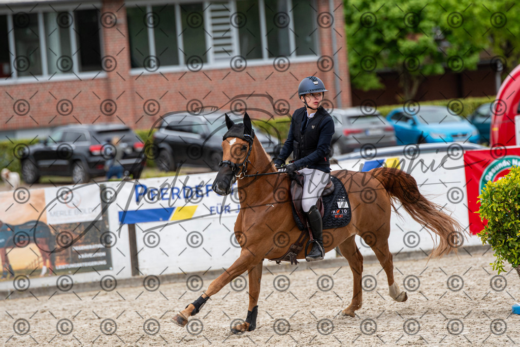 KPT_8308 | andre_photographic