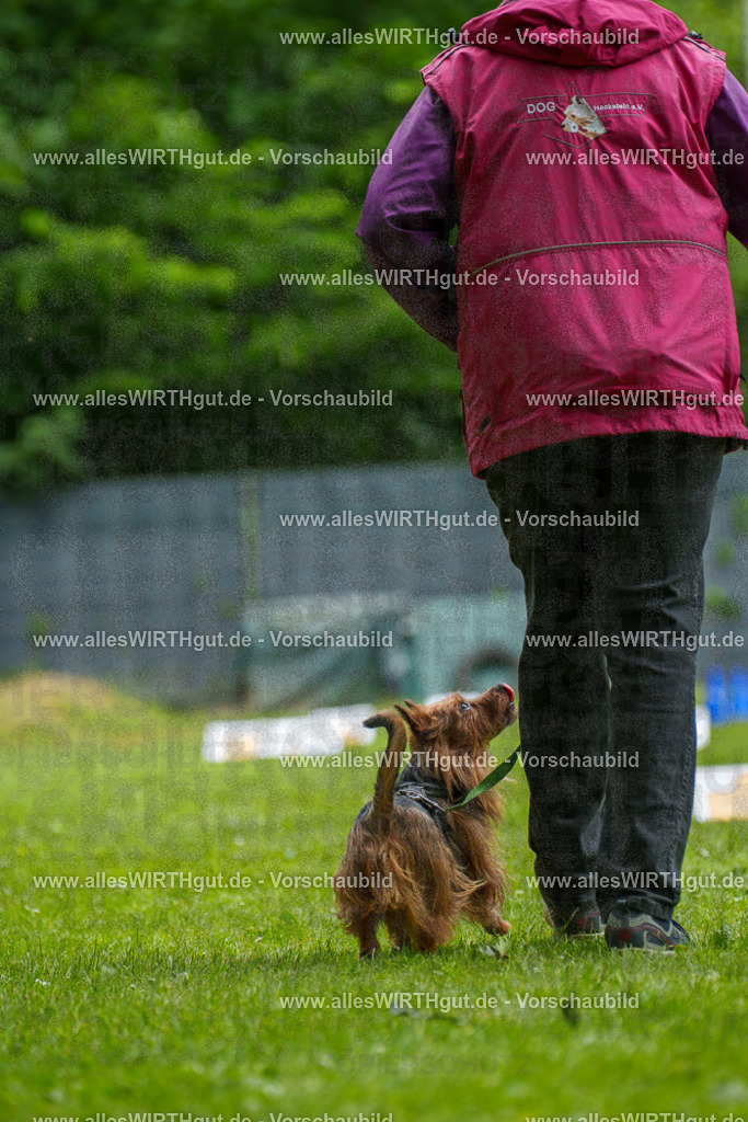 @allesWIRTHgut_Tierfotografie - www.allesWIRTHgut.de - 130737-7R509815 | Professionelle Tierfotografie in Mönchengladbach von Daniel Wirth (allesWIRTHgut). Liebevolle & natürliche Bilder von Hunden & Katzen für unvergessliche Erinnerungen.