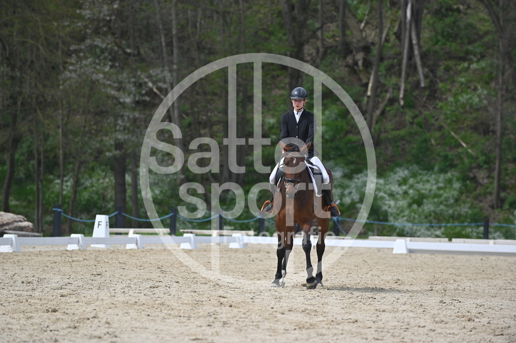 DSC_3464 | sattelsport - Realisiert mit Pictrs.com