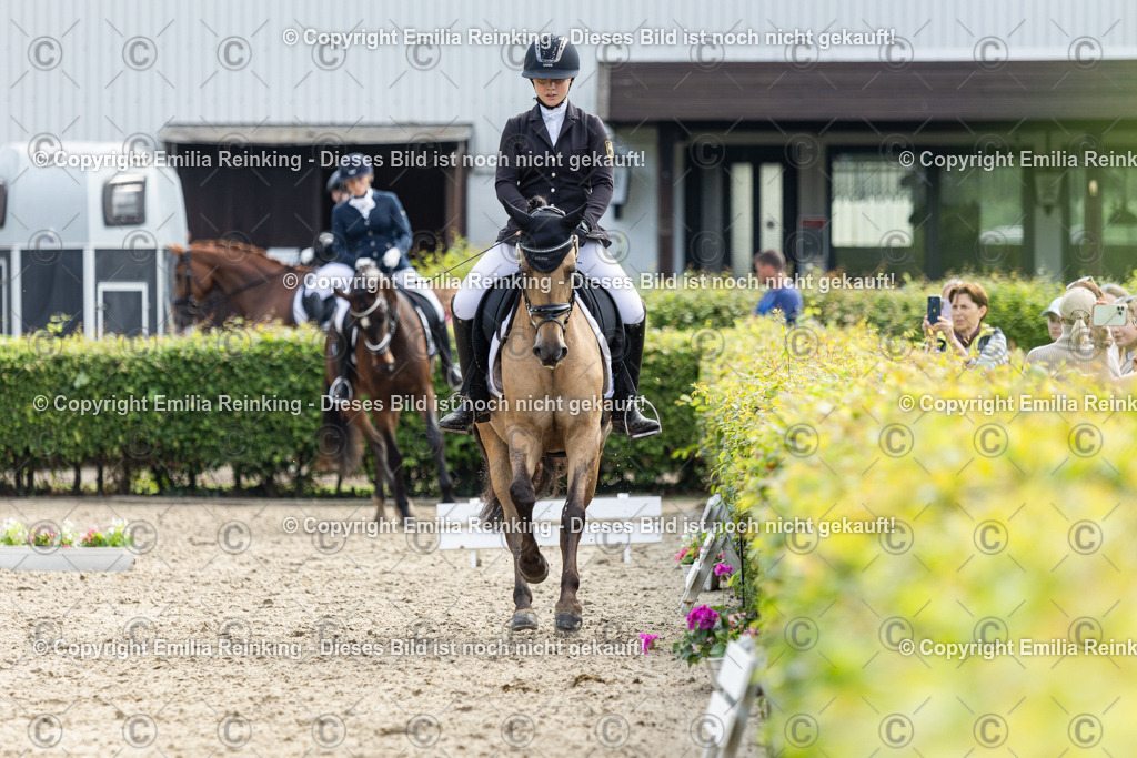 CL5A5280 | Emilia Reinking Fotografie - Realisiert mit Pictrs.com