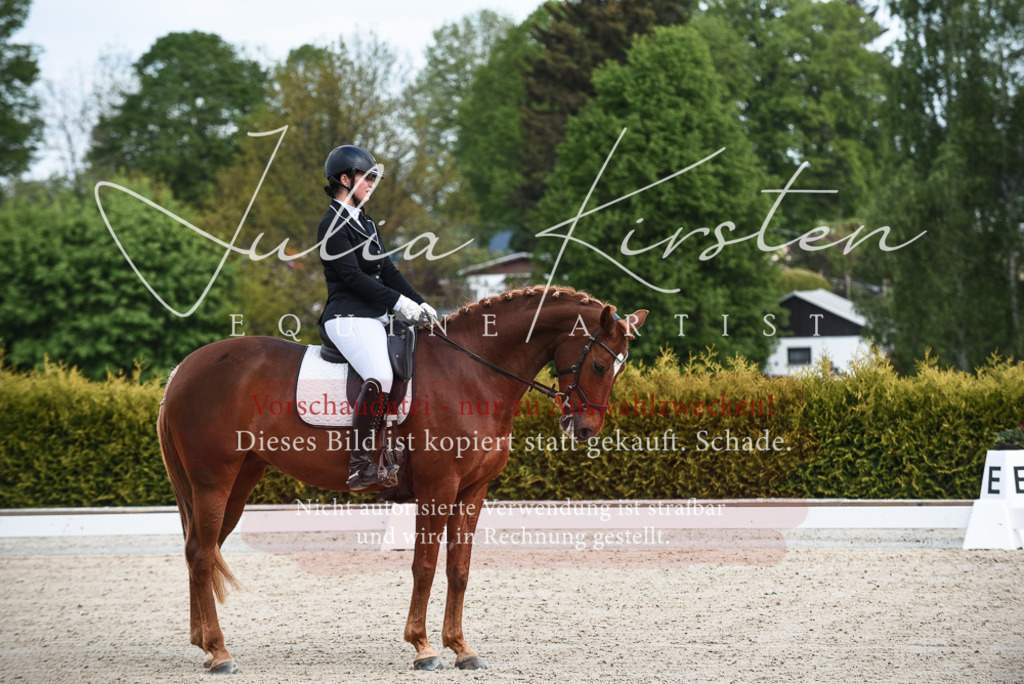 20230518_JK-Röhrsdorf-12-0002 | Pferde- und Turnierfotografie in Westsachsen. Pferdeportraits, Auftragszeichnungen und intuitive Kunst.