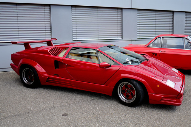 Calag_Oldtimer2025-16 | Ich fotografiere Hundeausstellungen, Sportanlässe, Zuchtstätten, Hundezucht, Hundeportrait, Lagotto - Realisiert mit Pictrs.com