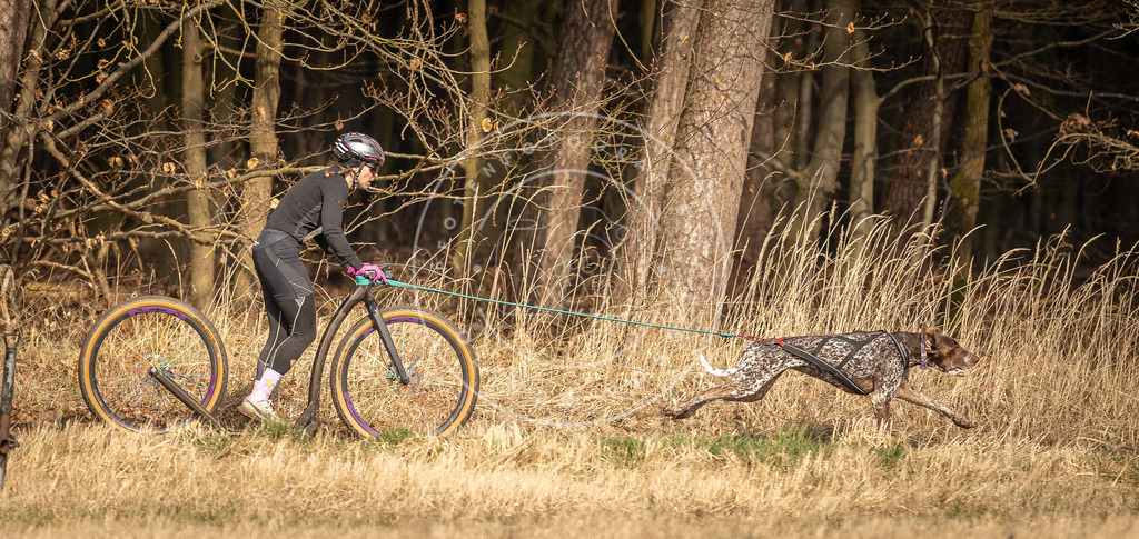 DV3A4675 | Hundefotografie, Tierfotograf, Pfotenfotografie, Fotoshooting Hund, Hunde Portrait, Hundesport, Hundeportraits, Heideshooting, Hunde, Sportfotograf, Hundefotograf, Turnierhundsport, THS,  - Realisiert mit Pictrs.com