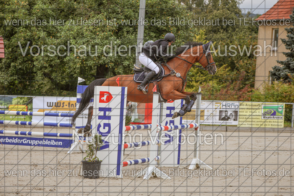 2025-09-22_09-35-16_MG_3737 | TE-Fotos