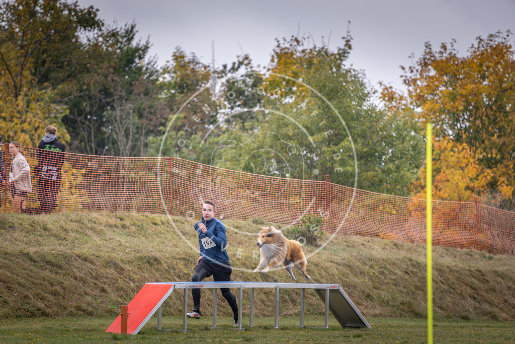 Pfotenfotografie_DV3A1465 | Hundefotografie, Tierfotograf, Pfotenfotografie, Fotoshooting Hund, Hunde Portrait, Hundesport, Hundeportraits, Heideshooting, Hunde, Sportfotograf, Hundefotograf, Turnierhundsport, THS,  - Realisiert mit Pictrs.com