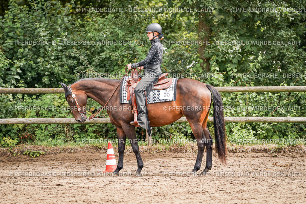 DSC04764 | Pferdegrafie