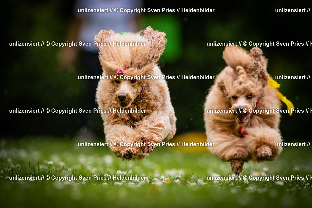 Sven Pries | 2025-05-29 - Pudelrennen KA-Durlach - Realisiert mit Pictrs.com