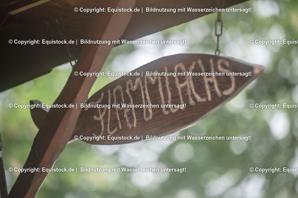 20240519_Impressionen_0127 | Foto: Thomas Hartig