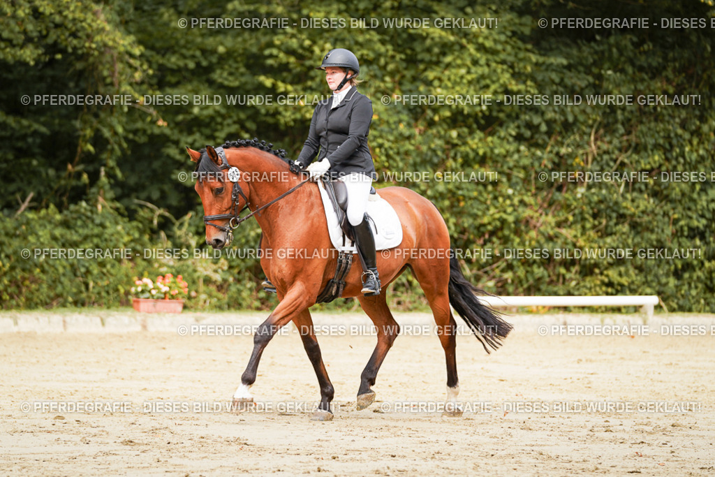 DSC01864 | Pferdegrafie