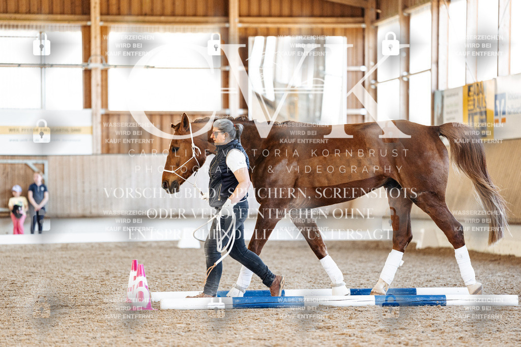 CK906124 | Turnierfotografie Pferdefotografie Trier Rheinland-Pfalz Pferdesport Reitsport Tierfotografie Sportfotografie Pferdevideo Pferdevideografie Equestrianvideography equestrianphotography  - Realisiert mit Pictrs.com