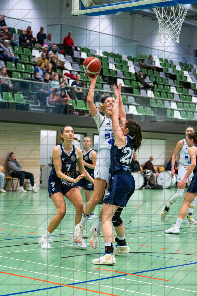 2. DBBL Nord 25/26 | Spieltag 10 | BBC Osnabrück vs. Hürther BC | //  07.12.25: 2. DBBL Nord 25/26 | Spieltag 10 | BBC Osnabrück vs. Hürther BC / Osnabrück / Deutschland  //   CREDIT:www.bullenfotos.de, Martin König, Hörner Weg 40, D-49078 Osnabrück, +4917663732967 // Nutzung und Weitergabe nur zu den vereinbarten Zwecken. Presseanfragen an Ersteller. Alle Rechte beim Ersteller. Honorierung nach MFM. - Realisiert mit Pictrs.com