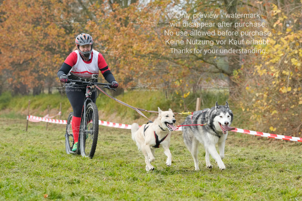 Visbeck_Sa_DS2DR2-128 | stephaniefillaphotographie - Realisiert mit Pictrs.com