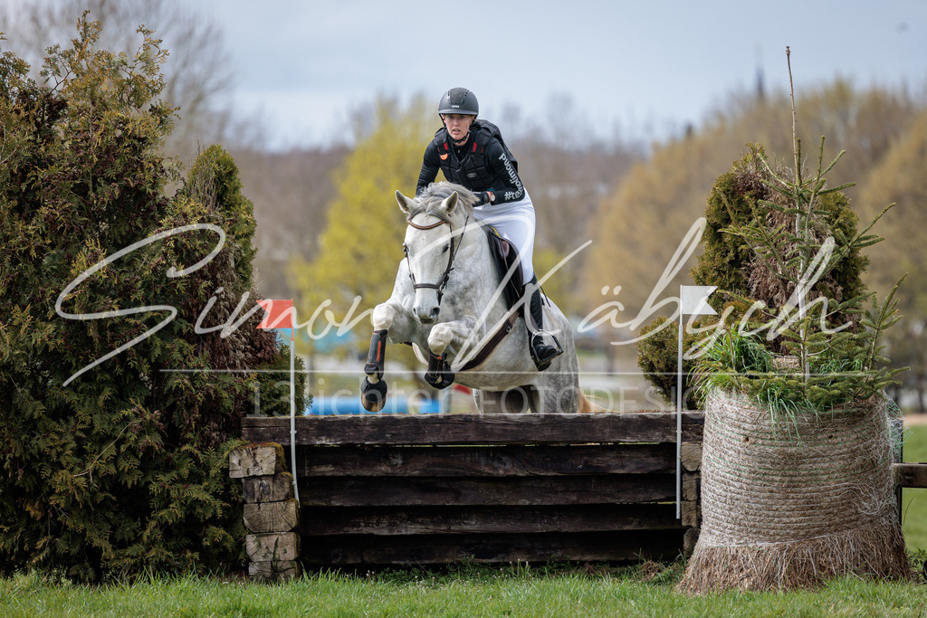 20260329-_3LI5137 | Tierfotografie Pferde, Hunde, Katzen, Haustiere.
Turnierfotografie Reitturniere, Reiten, Springreiten, Dressur in Hanau, dem Main-Kinzig-Kreis und dem Rhein-Main- Gebiet um Frankfurt