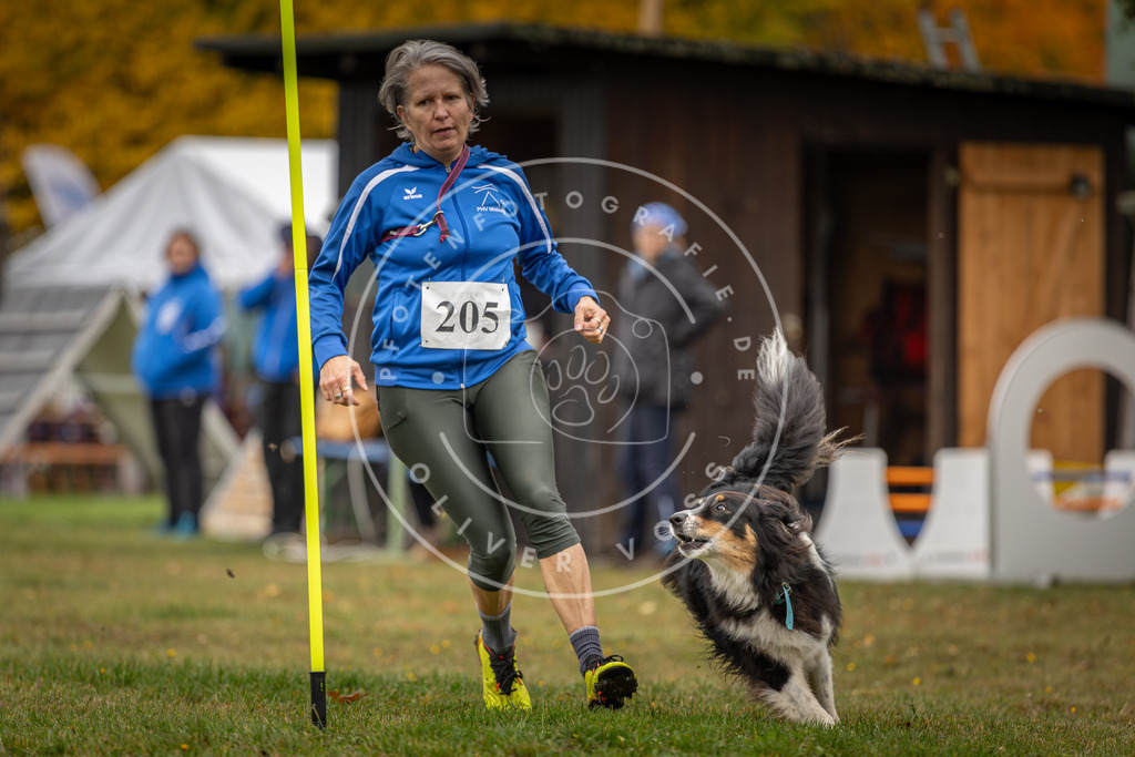 Pfotenfotografie_DV3A1727 | Hundefotografie, Tierfotograf, Pfotenfotografie, Fotoshooting Hund, Hunde Portrait, Hundesport, Hundeportraits, Heideshooting, Hunde, Sportfotograf, Hundefotograf, Turnierhundsport, THS,  - Realisiert mit Pictrs.com