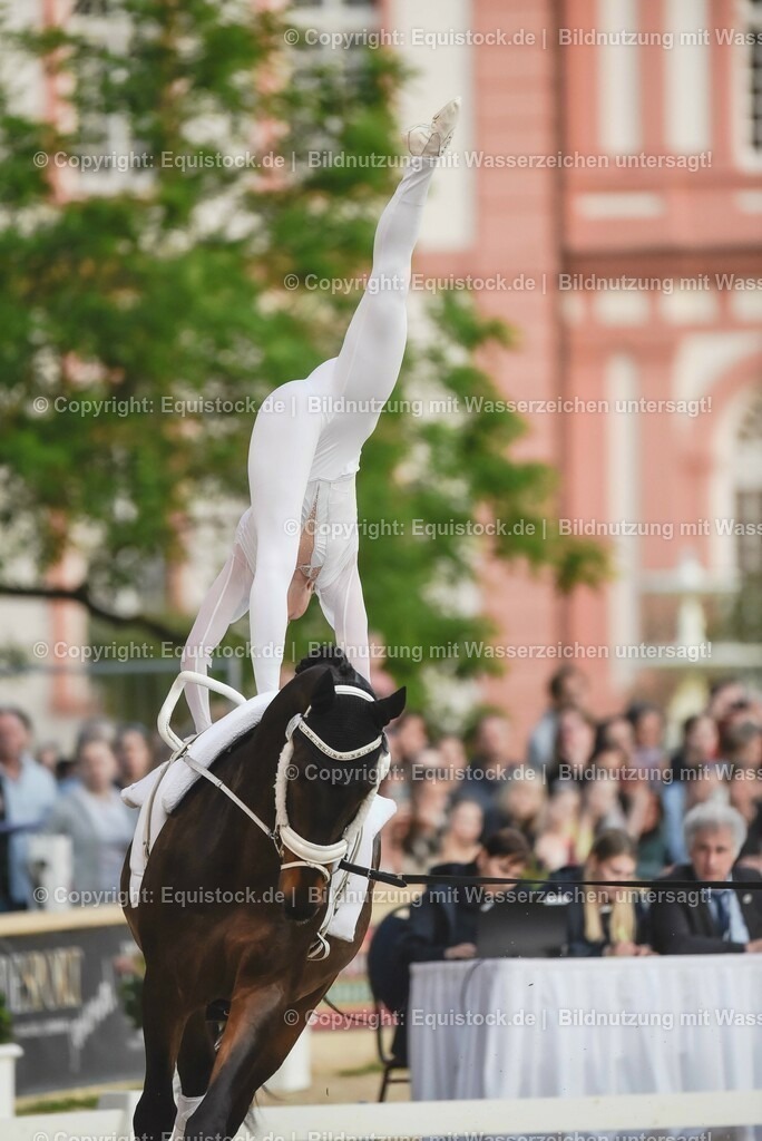 20230527_Voltigieren_NASPA_Flutlicht_0146 | equistock