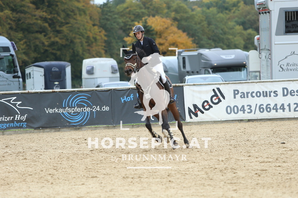 DL2Q7574 | Willkommen bei Brunnmayr - Design & Fotografie – Ihrem Spezialisten für Reitturniere und Pferdeveranstaltungen in Oberösterreich, Salzburg und Bayern! Seit über 17 Jahren sind wir leidenschaftlich dabei.