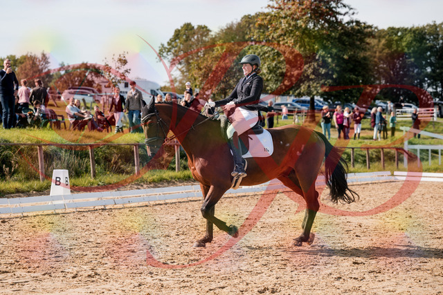 2026_10_03_Siefer-Hof_130259_Z63_64828682 | Professionelle Reitsport-, Turnier- und Eventfotografie von Robert Broda. Galerien mit ausgewählten und bearbeiteten Bildern direkt online ansehen und bestellen.